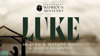 Advent Study