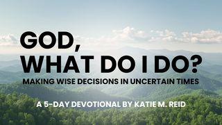 God, What Do I Do? Making Wise Decisions in Uncertain Times